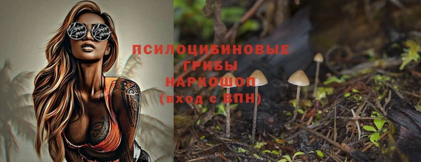 первитин Белоозёрский