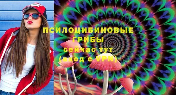 первитин Белоозёрский