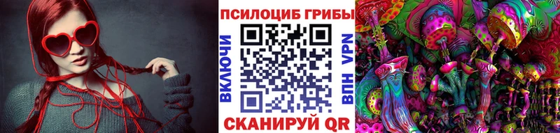 цена   Окуловка  Псилоцибиновые грибы ЛСД 